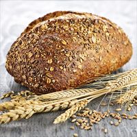 Crafty Cultures Wholewheat Sourdough Starter Culture